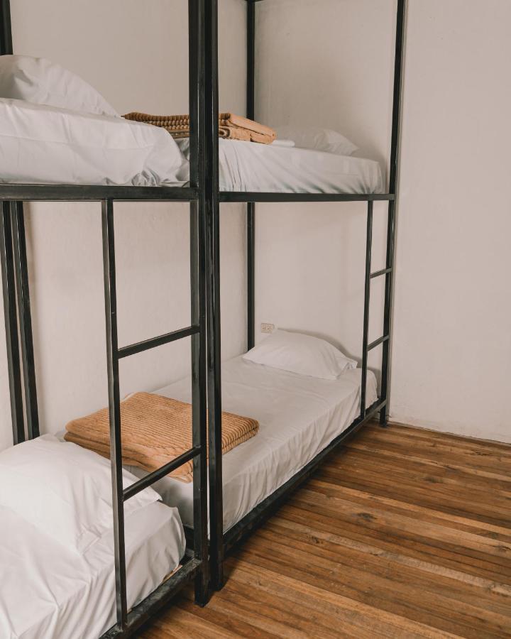 Wild Monkey Hostel Cuenca Esterno foto